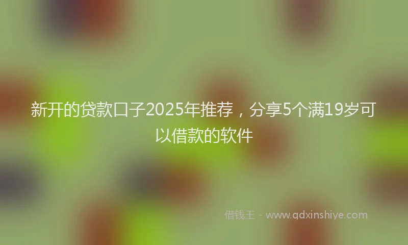 新开的贷款口子2025年推荐，分享5个满19岁可以借款的软件