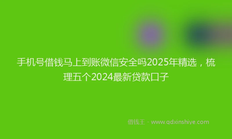 手机号借钱马上到账微信安全吗2025年精选，梳理五个2024最新贷款口子