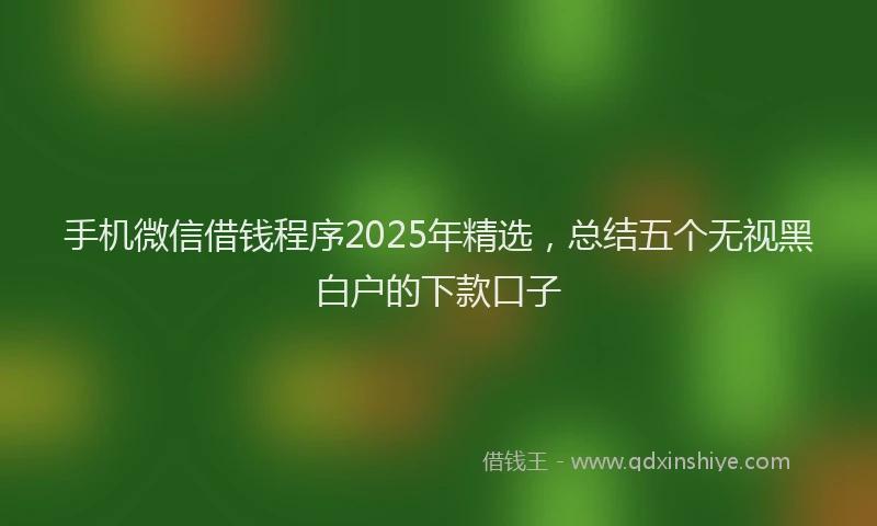 手机微信借钱程序2025年精选，总结五个无视黑白户的下款口子