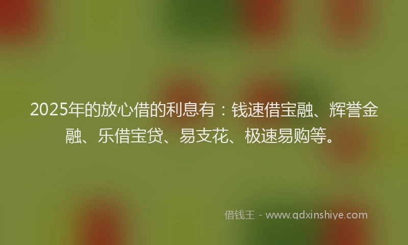 2025年的放心借的利息有：钱速借宝融、辉誉金融、乐借宝贷、易支花、极速易购等。