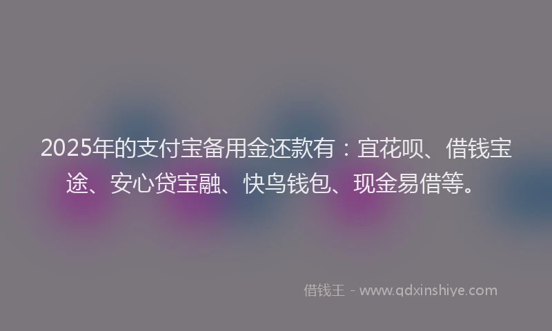 2025年的支付宝备用金还款有：宜花呗、借钱宝途、安心贷宝融、快鸟钱包、现金易借等。