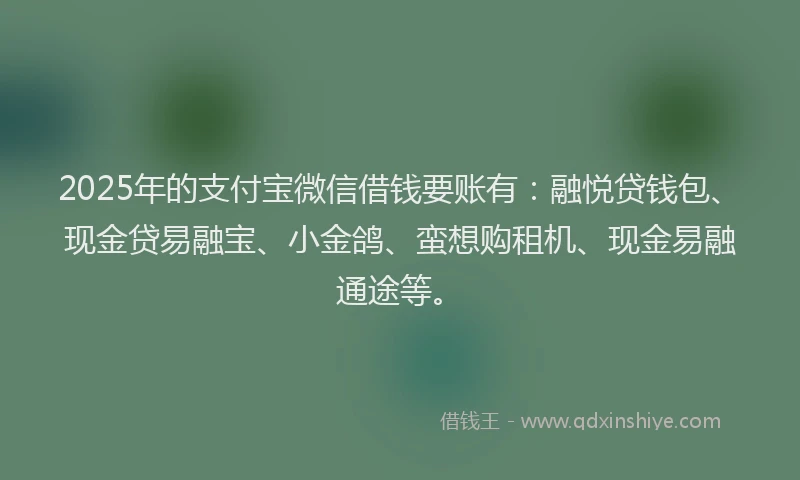2025年的支付宝微信借钱要账有：融悦贷钱包、现金贷易融宝、小金鸽、蛮想购租机、现金易融通途等。