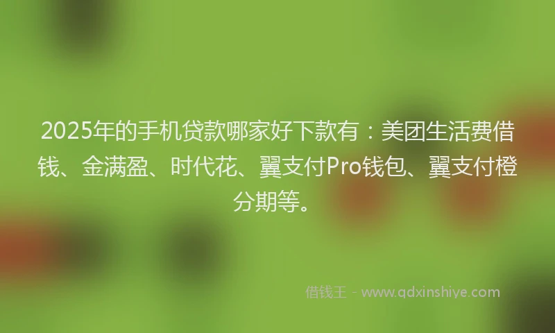 2025年的手机贷款哪家好下款有：美团生活费借钱、金满盈、时代花、翼支付Pro钱包、翼支付橙分期等。