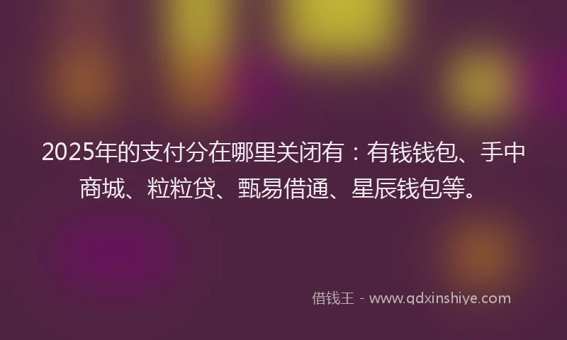 2025年的支付分在哪里关闭有：有钱钱包、手中商城、粒粒贷、甄易借通、星辰钱包等。