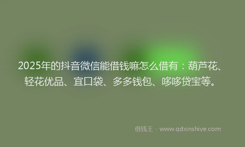 2025年的抖音微信能借钱嘛怎么借有：葫芦花、轻花优品、宜口袋、多多钱包、哆哆贷宝等。