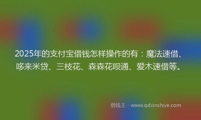 2025年的支付宝借钱怎样操作的有：魔法速借、哆来米贷、三枝花、森森花呗通、爱木速借等。