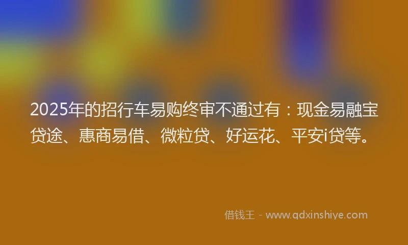 2025年的招行车易购终审不通过有：现金易融宝贷途、惠商易借、微粒贷、好运花、平安i贷等。