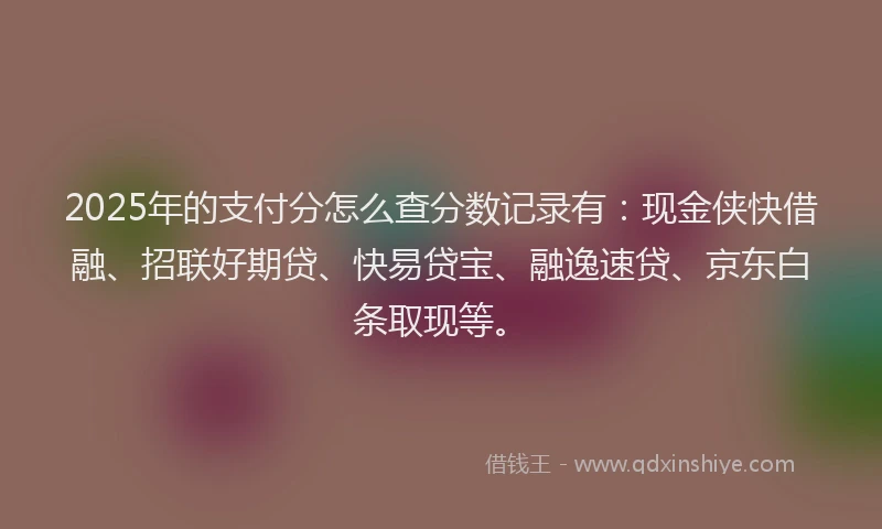2025年的支付分怎么查分数记录有：现金侠快借融、招联好期贷、快易贷宝、融逸速贷、京东白条取现等。
