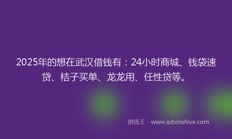 2025年的想在武汉借钱有：24小时商城、钱袋速贷、桔子买单、龙龙用、任性贷等。