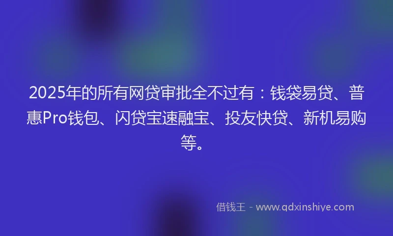 2025年的所有网贷审批全不过有：钱袋易贷、普惠Pro钱包、闪贷宝速融宝、投友快贷、新机易购等。