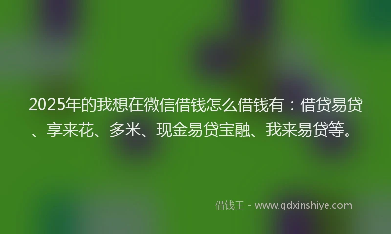 2025年的我想在微信借钱怎么借钱有：借贷易贷、享来花、多米、现金易贷宝融、我来易贷等。