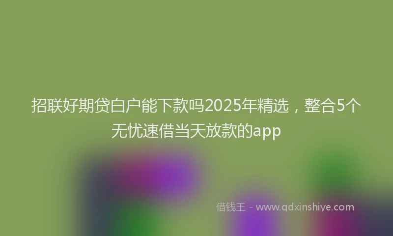 招联好期贷白户能下款吗2025年精选，整合5个无忧速借当天放款的app