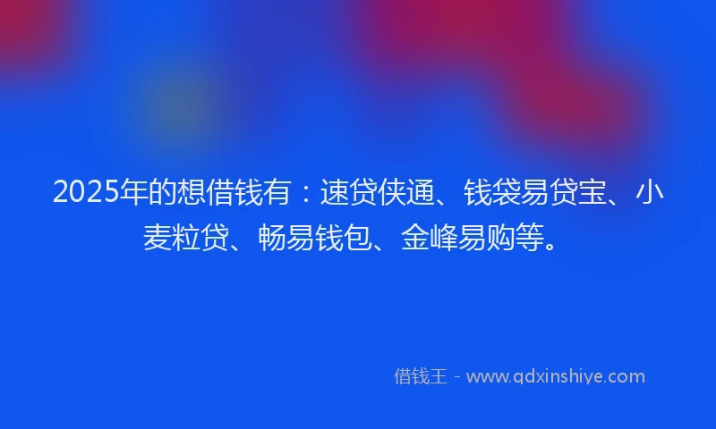 2025年的想借钱有：速贷侠通、钱袋易贷宝、小麦粒贷、畅易钱包、金峰易购等。