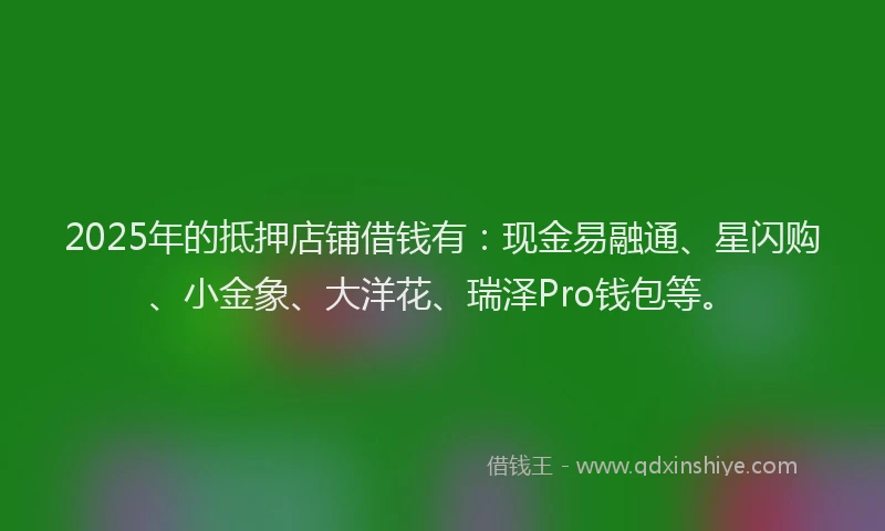 2025年的抵押店铺借钱有：现金易融通、星闪购、小金象、大洋花、瑞泽Pro钱包等。