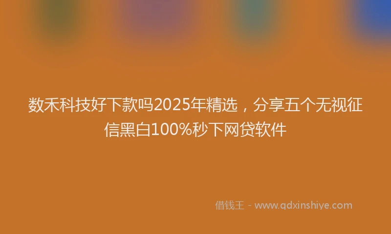 数禾科技好下款吗2025年精选，分享五个无视征信黑白100%秒下网贷软件