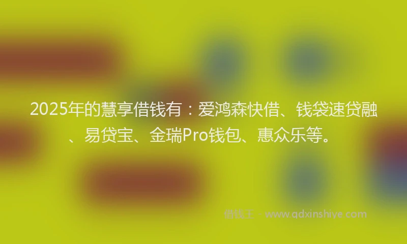 2025年的慧享借钱有：爱鸿森快借、钱袋速贷融、易贷宝、金瑞Pro钱包、惠众乐等。