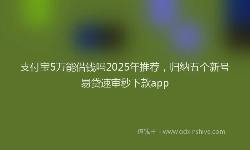 支付宝5万能借钱吗2025年推荐，归纳五个新号易贷速审秒下款app
