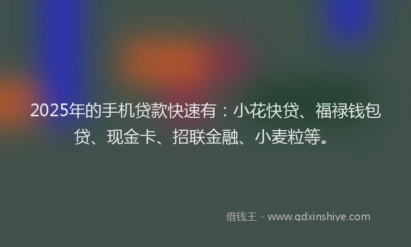2025年的手机贷款快速有：小花快贷、福禄钱包贷、现金卡、招联金融、小麦粒等。