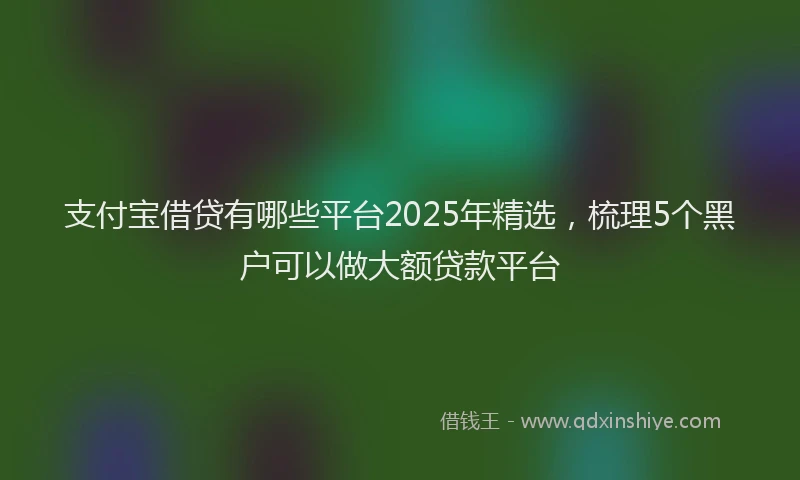 支付宝借贷有哪些平台2025年精选，梳理5个黑户可以做大额贷款平台
