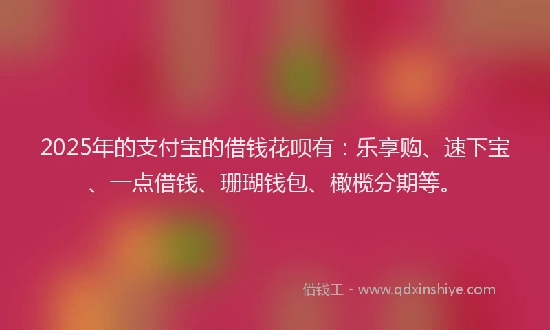 2025年的支付宝的借钱花呗有：乐享购、速下宝、一点借钱、珊瑚钱包、橄榄分期等。
