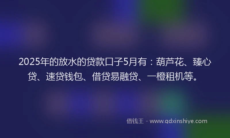 2025年的放水的贷款口子5月有：葫芦花、臻心贷、速贷钱包、借贷易融贷、一橙租机等。
