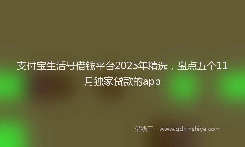 支付宝生活号借钱平台2025年精选，盘点五个11月独家贷款的app