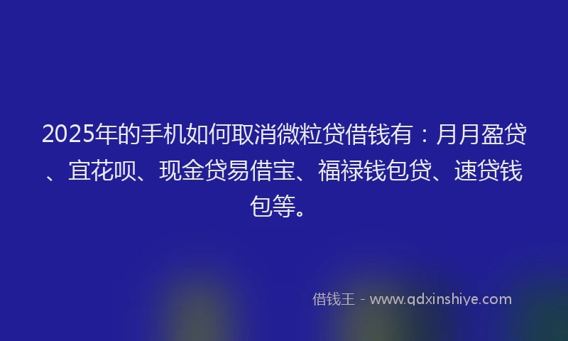 2025年的手机如何取消微粒贷借钱有：月月盈贷、宜花呗、现金贷易借宝、福禄钱包贷、速贷钱包等。