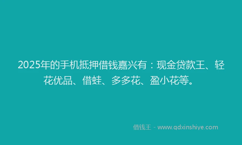 2025年的手机抵押借钱嘉兴有：现金贷款王、轻花优品、借蛙、多多花、盈小花等。