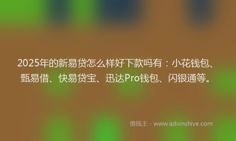 2025年的新易贷怎么样好下款吗有：小花钱包、甄易借、快易贷宝、迅达Pro钱包、闪银通等。