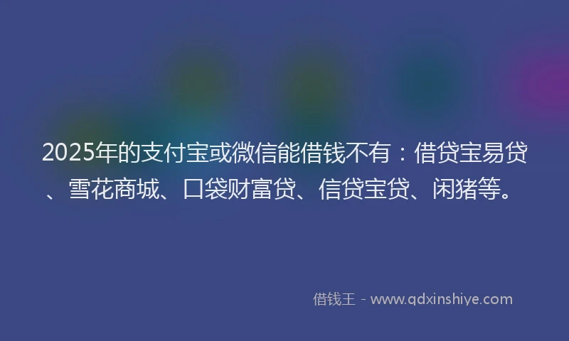 2025年的支付宝或微信能借钱不有：借贷宝易贷、雪花商城、口袋财富贷、信贷宝贷、闲猪等。