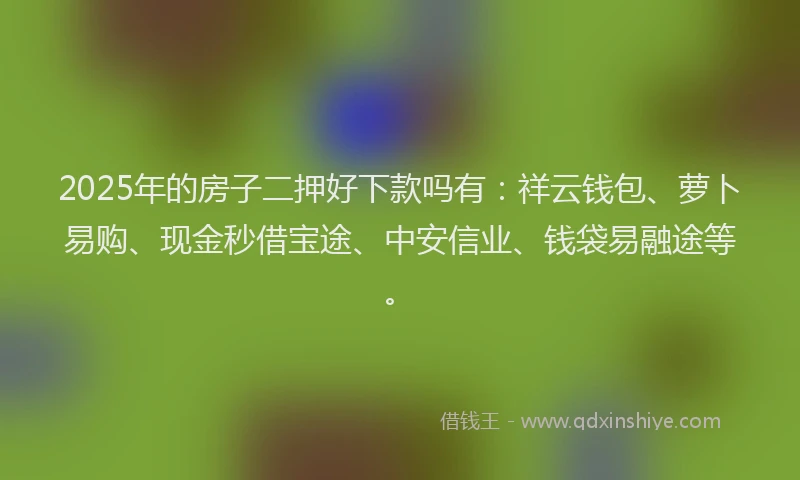 2025年的房子二押好下款吗有：祥云钱包、萝卜易购、现金秒借宝途、中安信业、钱袋易融途等。