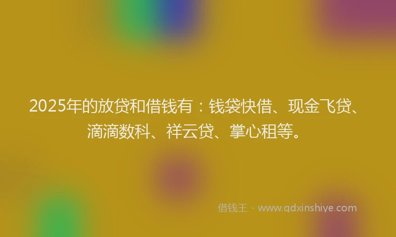 2025年的放贷和借钱有：钱袋快借、现金飞贷、滴滴数科、祥云贷、掌心租等。