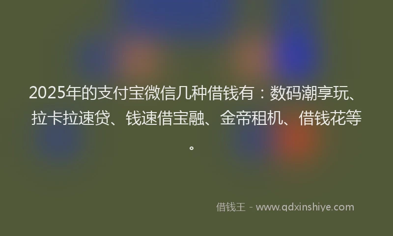 2025年的支付宝微信几种借钱有：数码潮享玩、拉卡拉速贷、钱速借宝融、金帝租机、借钱花等。