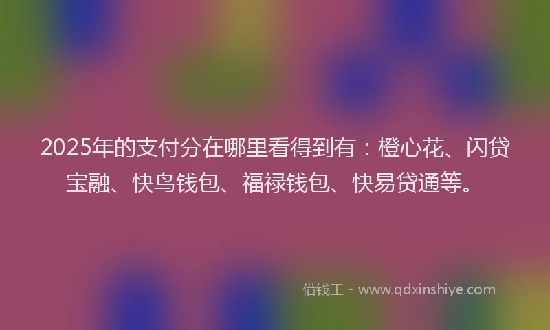 2025年的支付分在哪里看得到有：橙心花、闪贷宝融、快鸟钱包、福禄钱包、快易贷通等。