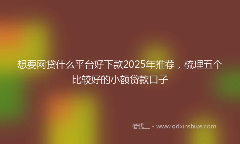 想要网贷什么平台好下款2025年推荐，梳理五个比较好的小额贷款口子