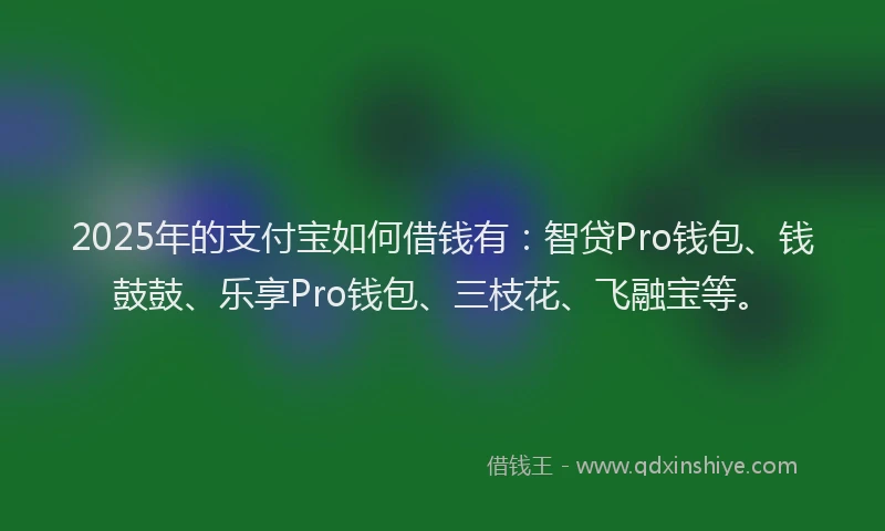 2025年的支付宝如何借钱有：智贷Pro钱包、钱鼓鼓、乐享Pro钱包、三枝花、飞融宝等。