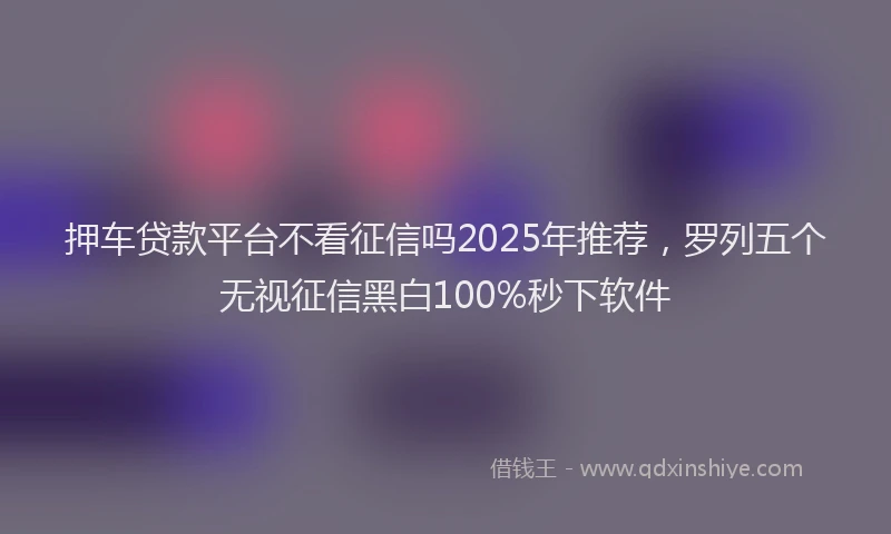 押车贷款平台不看征信吗2025年推荐，罗列五个无视征信黑白100%秒下软件