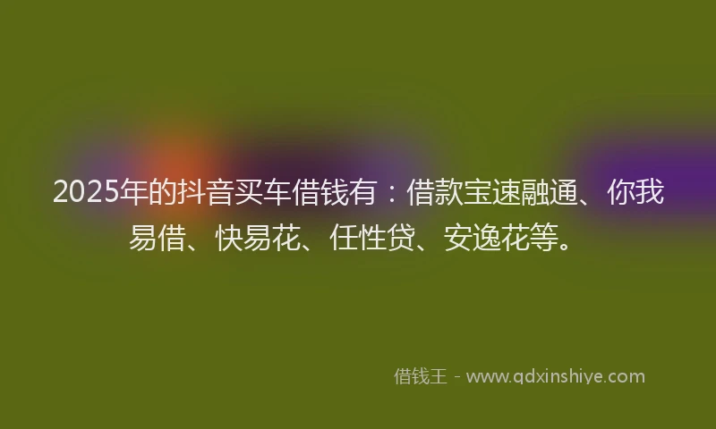 2025年的抖音买车借钱有：借款宝速融通、你我易借、快易花、任性贷、安逸花等。