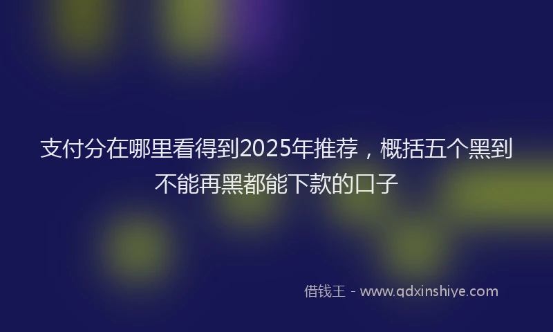 支付分在哪里看得到2025年推荐，概括五个黑到不能再黑都能下款的口子