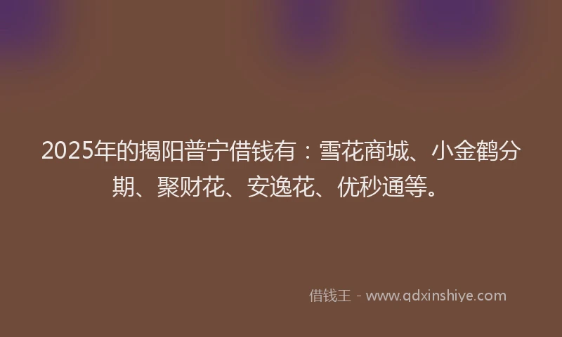 2025年的揭阳普宁借钱有：雪花商城、小金鹤分期、聚财花、安逸花、优秒通等。