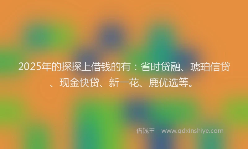 2025年的探探上借钱的有：省时贷融、琥珀信贷、现金快贷、新一花、鹿优选等。