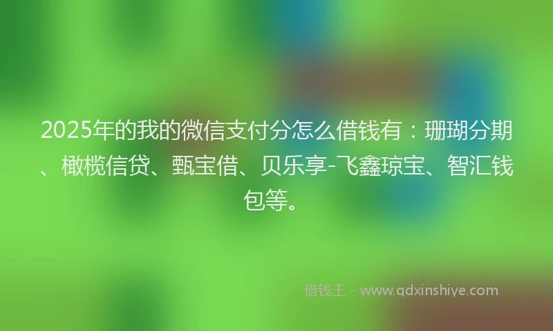 2025年的我的微信支付分怎么借钱有：珊瑚分期、橄榄信贷、甄宝借、贝乐享-飞鑫琼宝、智汇钱包等。