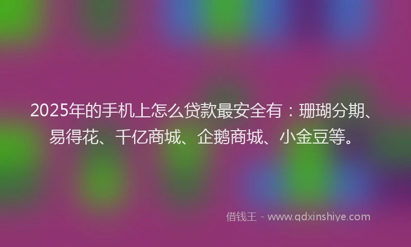 2025年的手机上怎么贷款最安全有：珊瑚分期、易得花、千亿商城、企鹅商城、小金豆等。