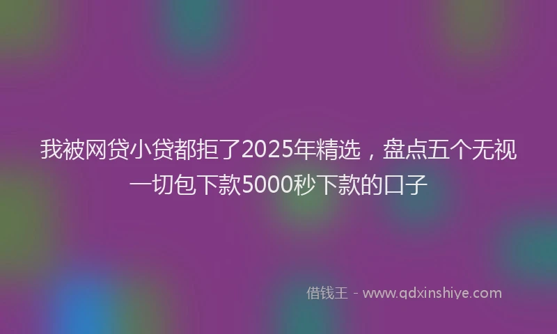 我被网贷小贷都拒了2025年精选，盘点五个无视一切包下款5000秒下款的口子