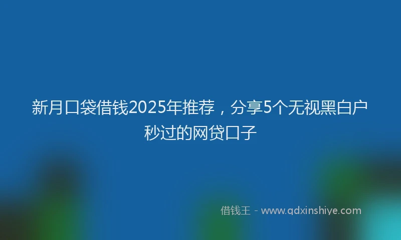 新月口袋借钱2025年推荐，分享5个无视黑白户秒过的网贷口子