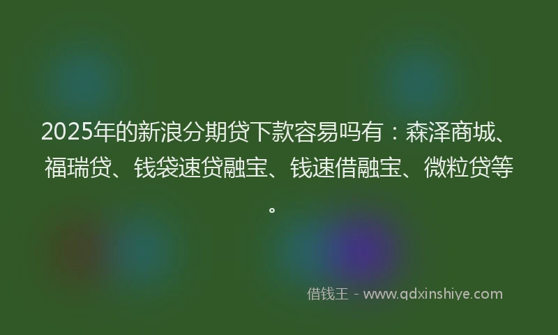 2025年的新浪分期贷下款容易吗有：森泽商城、福瑞贷、钱袋速贷融宝、钱速借融宝、微粒贷等。