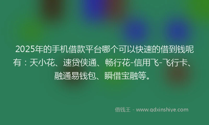 2025年的手机借款平台哪个可以快速的借到钱呢有：天小花、速贷侠通、畅行花-信用飞-飞行卡、融通易钱包、瞬借宝融等。