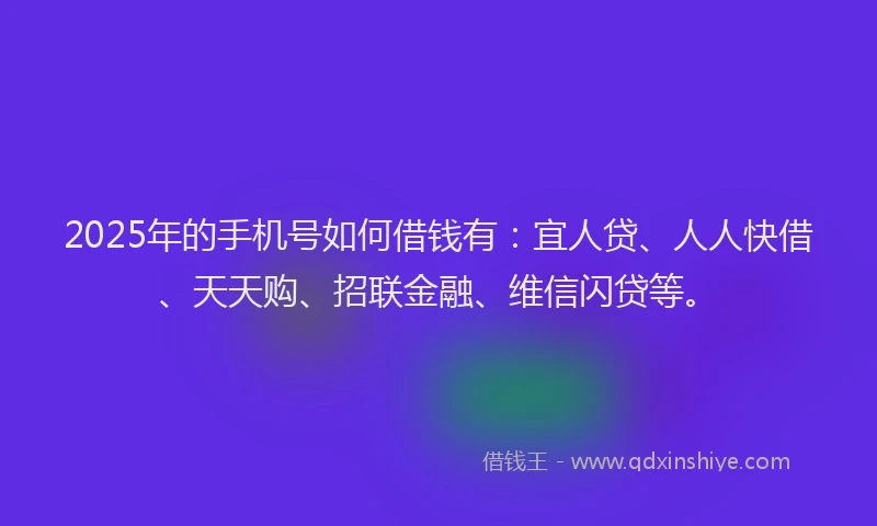 2025年的手机号如何借钱有：宜人贷、人人快借、天天购、招联金融、维信闪贷等。