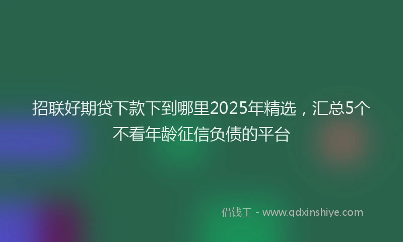 招联好期贷下款下到哪里2025年精选，汇总5个不看年龄征信负债的平台