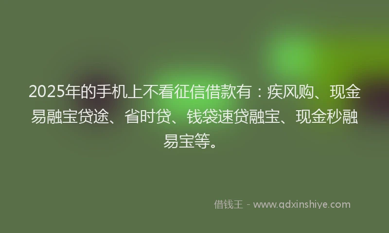 2025年的手机上不看征信借款有：疾风购、现金易融宝贷途、省时贷、钱袋速贷融宝、现金秒融易宝等。